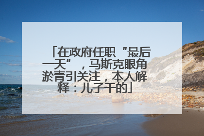 在政府任职“最后一天”，马斯克眼角淤青引关注，本人解释：儿子干的