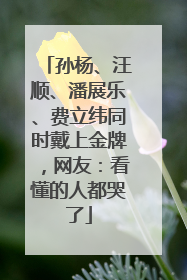 孙杨、汪顺、潘展乐、费立纬同时戴上金牌，网友：看懂的人都哭了