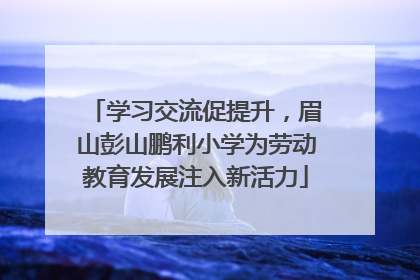 学习交流促提升，眉山彭山鹏利小学为劳动教育发展注入新活力