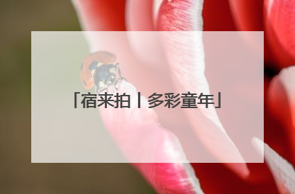 宿来拍丨多彩童年