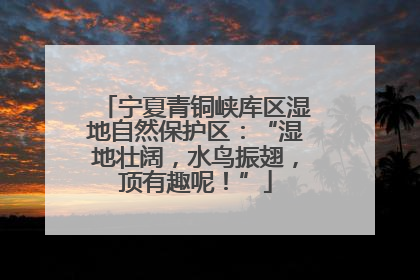 宁夏青铜峡库区湿地自然保护区：“湿地壮阔，水鸟振翅，顶有趣呢！”