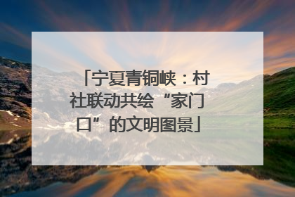 宁夏青铜峡：村社联动共绘“家门口”的文明图景