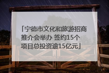 宁德市文化和旅游招商推介会举办 签约15个项目总投资逾15亿元
