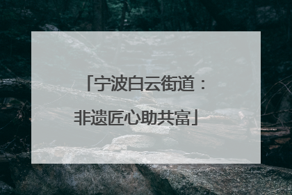宁波白云街道：非遗匠心助共富