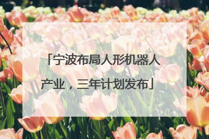 宁波布局人形机器人产业，三年计划发布