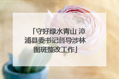 守好绿水青山 漳浦县委书记督导涉林图斑整改工作