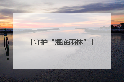 守护“海底雨林”
