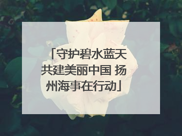 守护碧水蓝天 共建美丽中国 扬州海事在行动