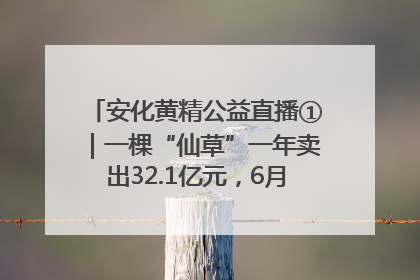 安化黄精公益直播①｜一棵“仙草”一年卖出32.1亿元，6月26日10:00新湖南直播揭秘安化黄精变黄金的“密码”