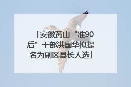 安徽黄山“准90后”干部洪国华拟提名为副区县长人选