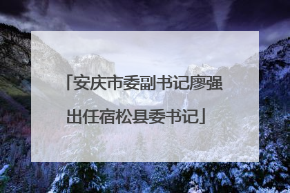 安庆市委副书记廖强出任宿松县委书记