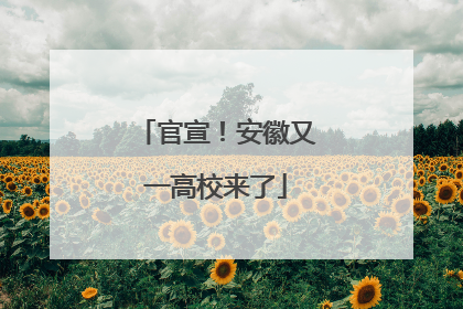 官宣！安徽又一高校来了
