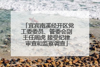 宜宾南溪经开区党工委委员、管委会副主任周虎 接受纪律审查和监察调查