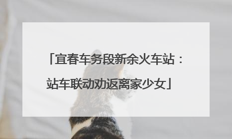 宜春车务段新余火车站：站车联动劝返离家少女
