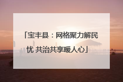 宝丰县：网格聚力解民忧 共治共享暖人心