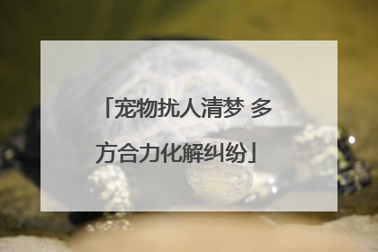宠物扰人清梦 多方合力化解纠纷