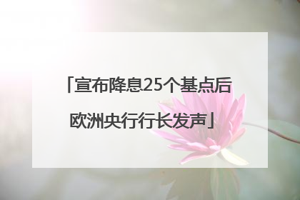 宣布降息25个基点后 欧洲央行行长发声