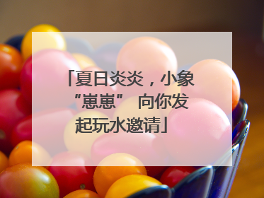 夏日炎炎，小象“崽崽” 向你发起玩水邀请