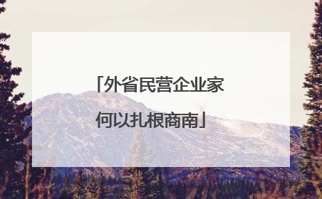 外省民营企业家何以扎根商南