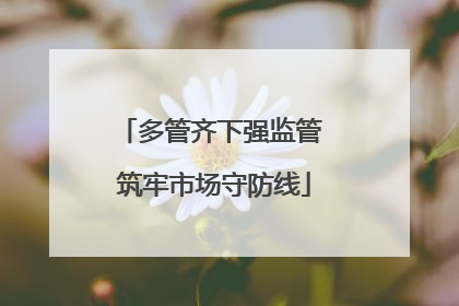 多管齐下强监管 筑牢市场守防线