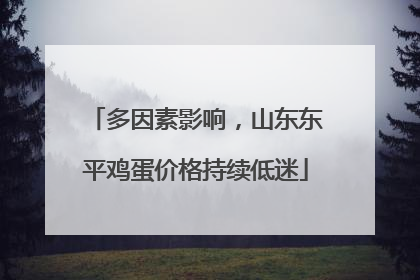 多因素影响，山东东平鸡蛋价格持续低迷