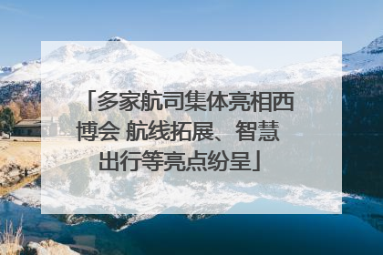 多家航司集体亮相西博会 航线拓展、智慧出行等亮点纷呈