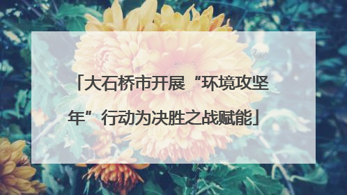 大石桥市开展“环境攻坚年”行动为决胜之战赋能