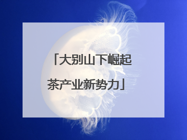 大别山下崛起茶产业新势力