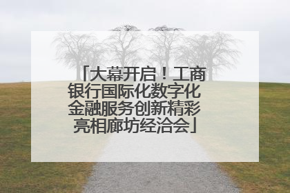 大幕开启！工商银行国际化数字化金融服务创新精彩亮相廊坊经洽会