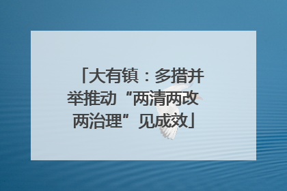 大有镇：多措并举推动“两清两改两治理”见成效