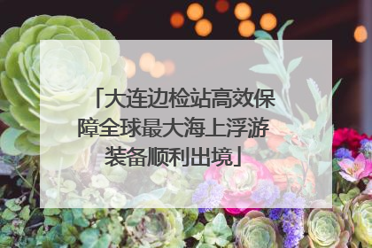 大连边检站高效保障全球最大海上浮游装备顺利出境