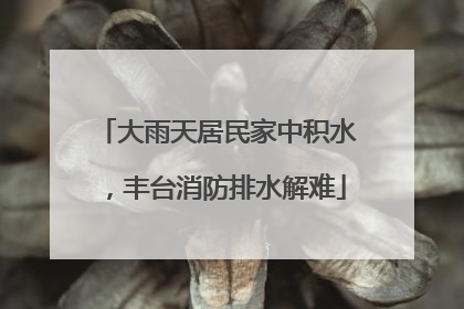 大雨天居民家中积水，丰台消防排水解难