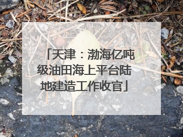 天津：渤海亿吨级油田海上平台陆地建造工作收官