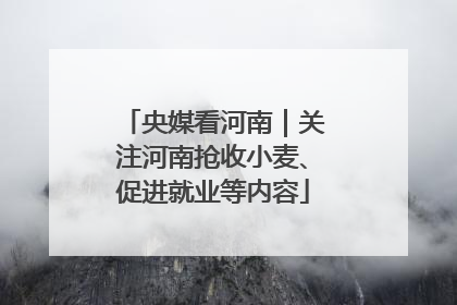 央媒看河南｜关注河南抢收小麦、促进就业等内容