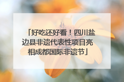 好吃还好看！四川盐边县非遗代表性项目亮相成都国际非遗节