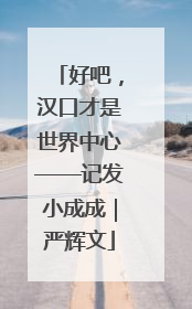 好吧，汉口才是世界中心——记发小成成｜严辉文