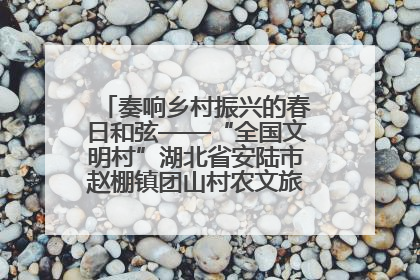 奏响乡村振兴的春日和弦——“全国文明村”湖北省安陆市赵棚镇团山村农文旅融合发展见闻