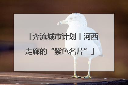 奔流城市计划丨河西走廊的“紫色名片”