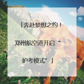 奔赴梦想之约！郑州航空港开启“护考模式”