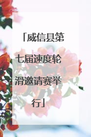 威信县第七届速度轮滑邀请赛举行