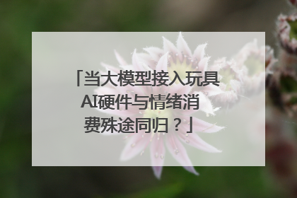 当大模型接入玩具 AI硬件与情绪消费殊途同归？