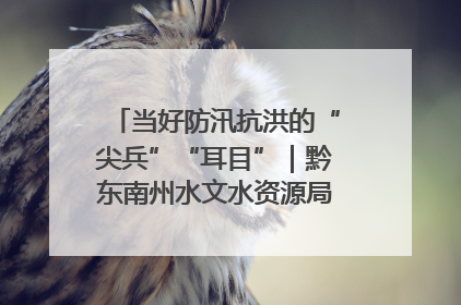 当好防汛抗洪的“尖兵”“耳目”｜黔东南州水文水资源局全员出动为此轮强降雨做好测报工作