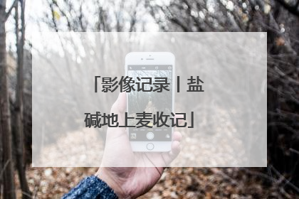 影像记录丨盐碱地上麦收记