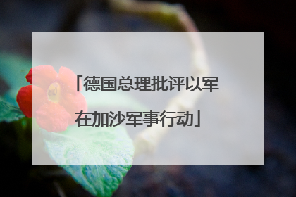 德国总理批评以军在加沙军事行动