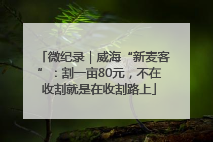 微纪录｜威海“新麦客”：割一亩80元，不在收割就是在收割路上