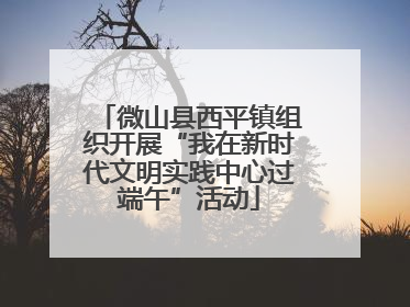 微山县西平镇组织开展“我在新时代文明实践中心过端午”活动