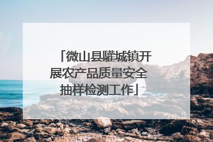 微山县驩城镇开展农产品质量安全抽样检测工作