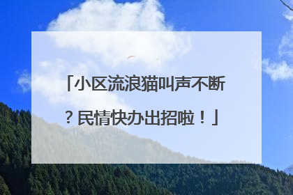 小区流浪猫叫声不断？民情快办出招啦！