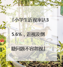 小学生近视率达35.6%，近视及倒睫问题不容忽视
