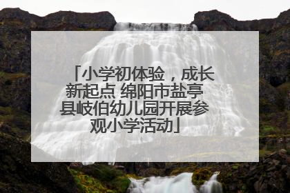 小学初体验，成长新起点 绵阳市盐亭县岐伯幼儿园开展参观小学活动